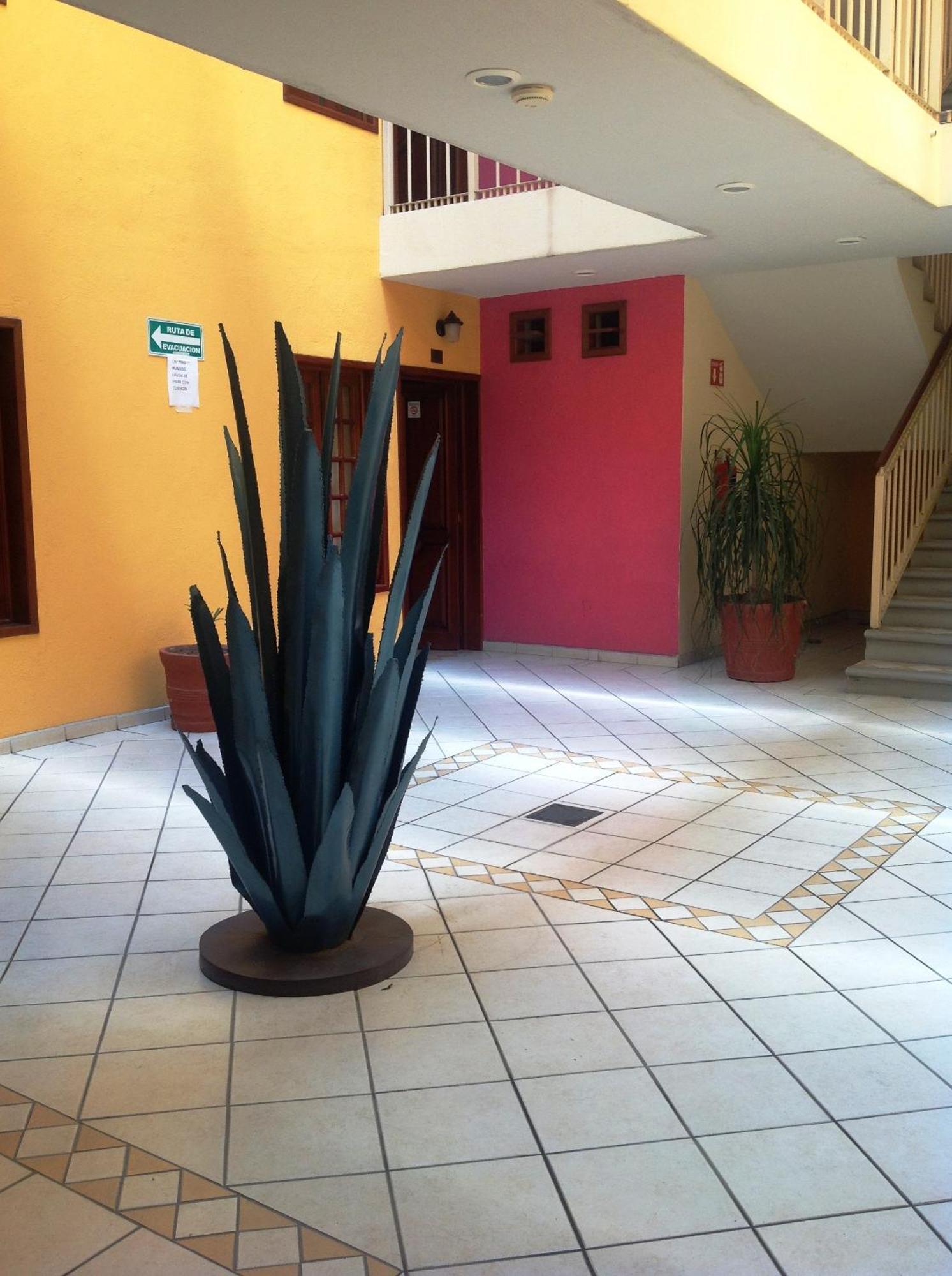 Hotel Plaza Jardin Tequila Esterno foto