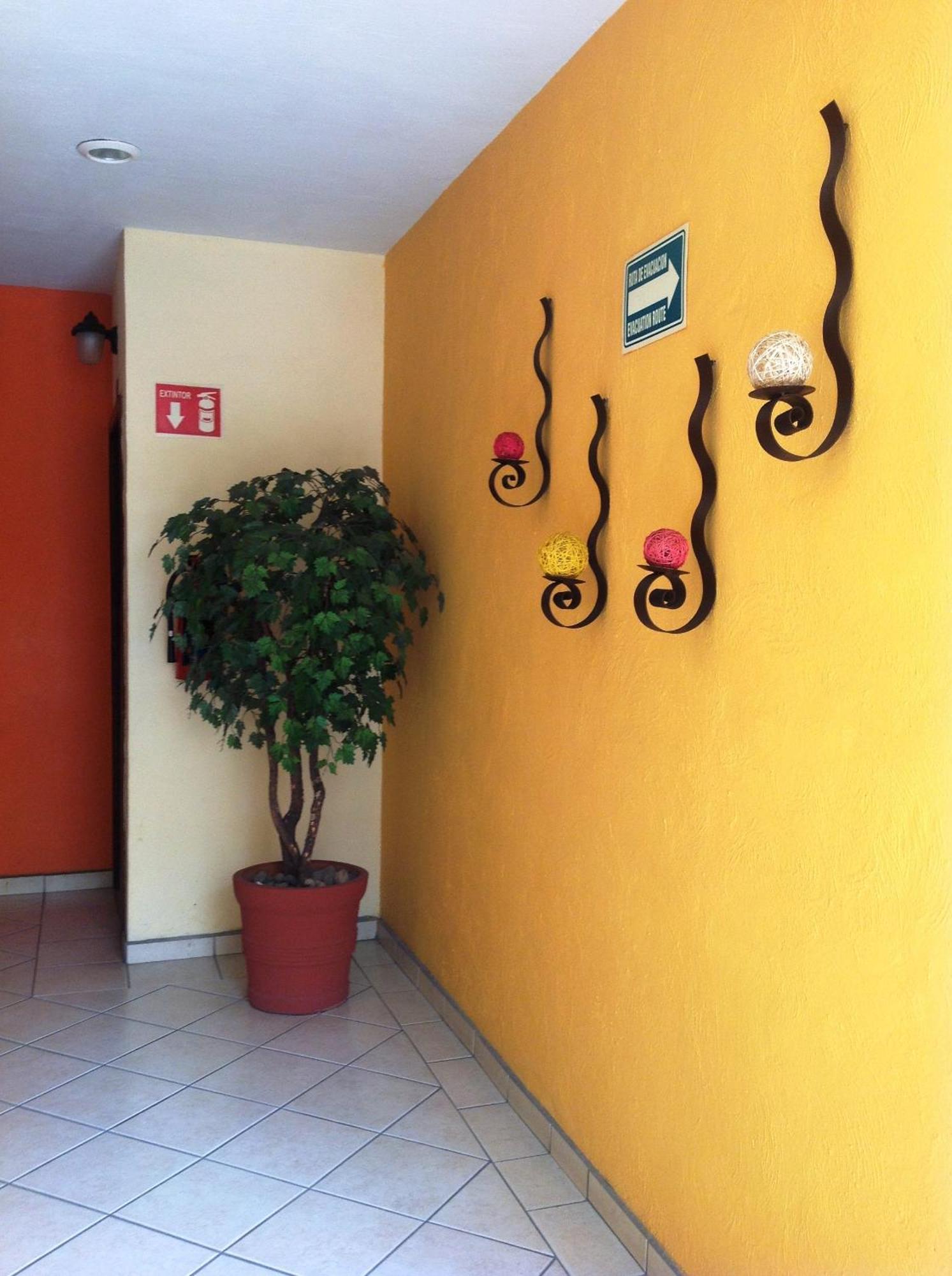 Hotel Plaza Jardin Tequila Esterno foto
